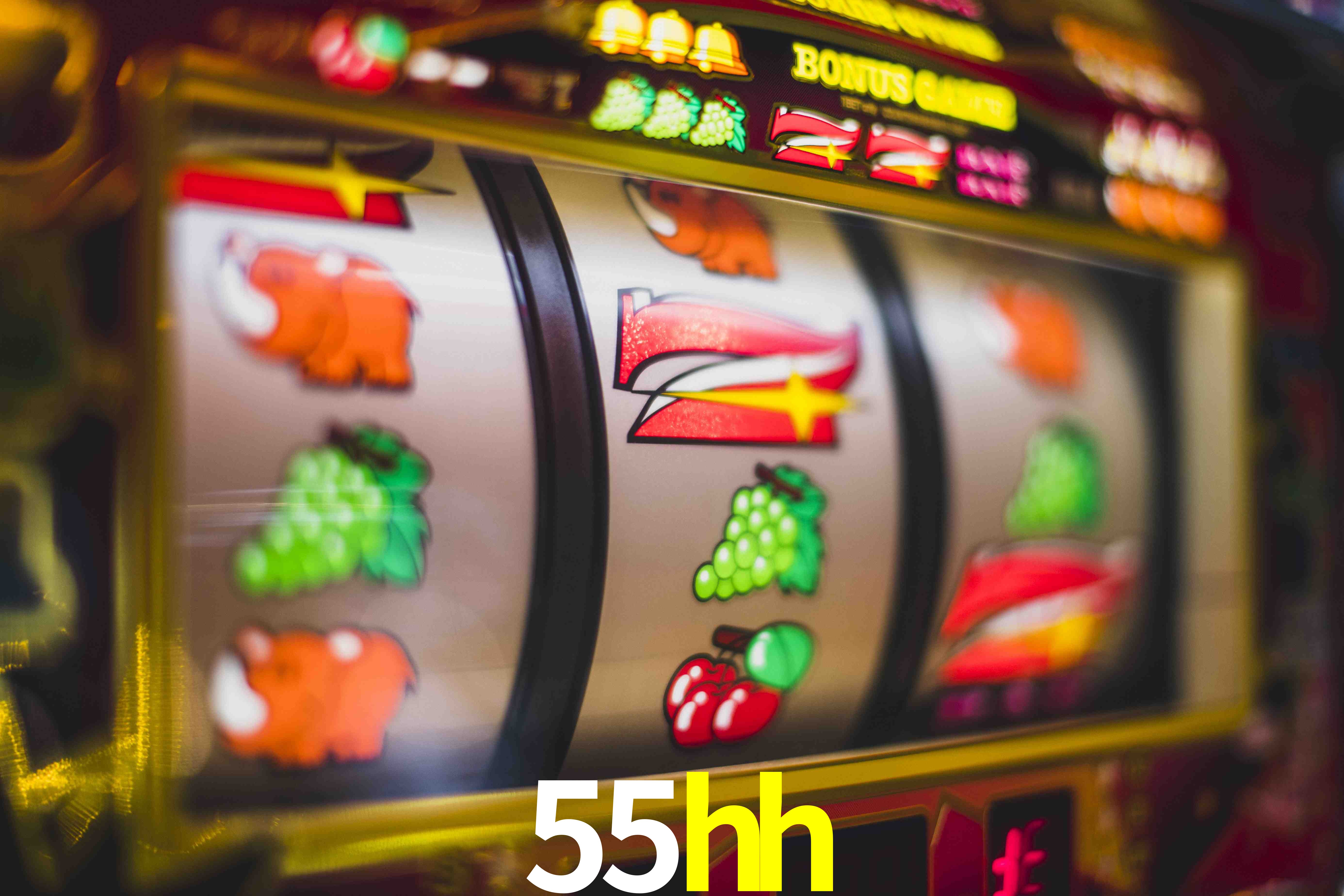 VIP Casino 55hh